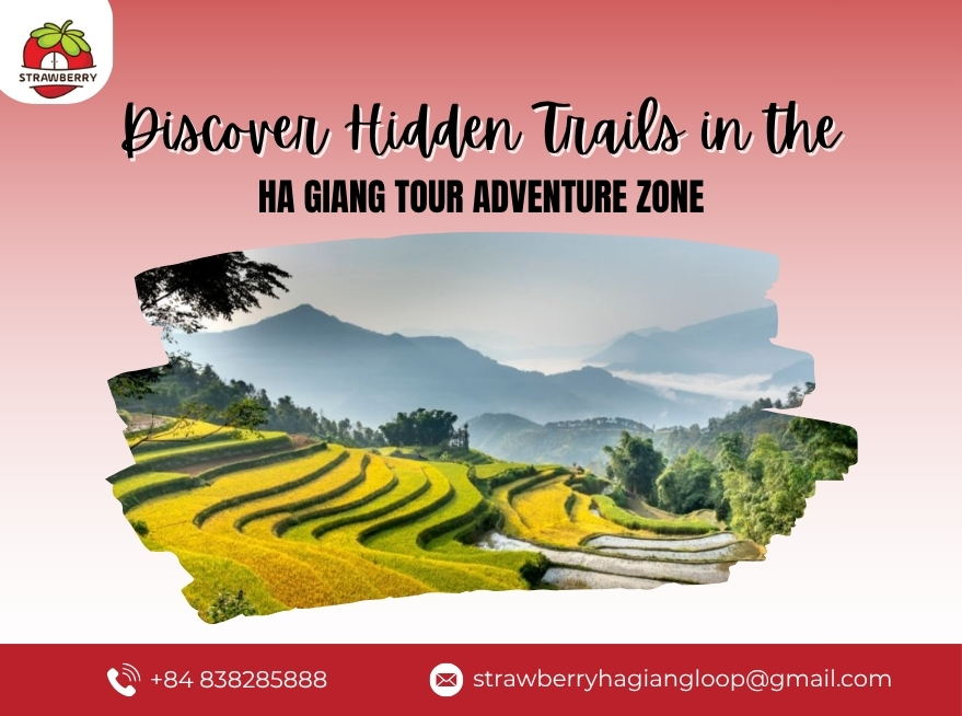Strawberry House: Your Ultimate Guide to Ha Giang Tour Adventures