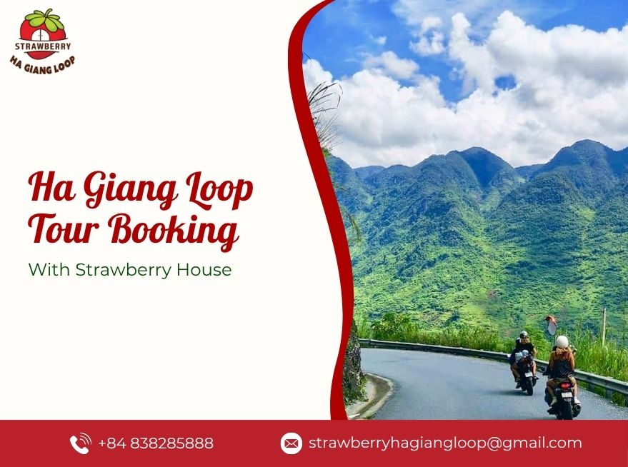 Strawberry House – The Trusted Brand For Ha Giang Loop Tour Booking