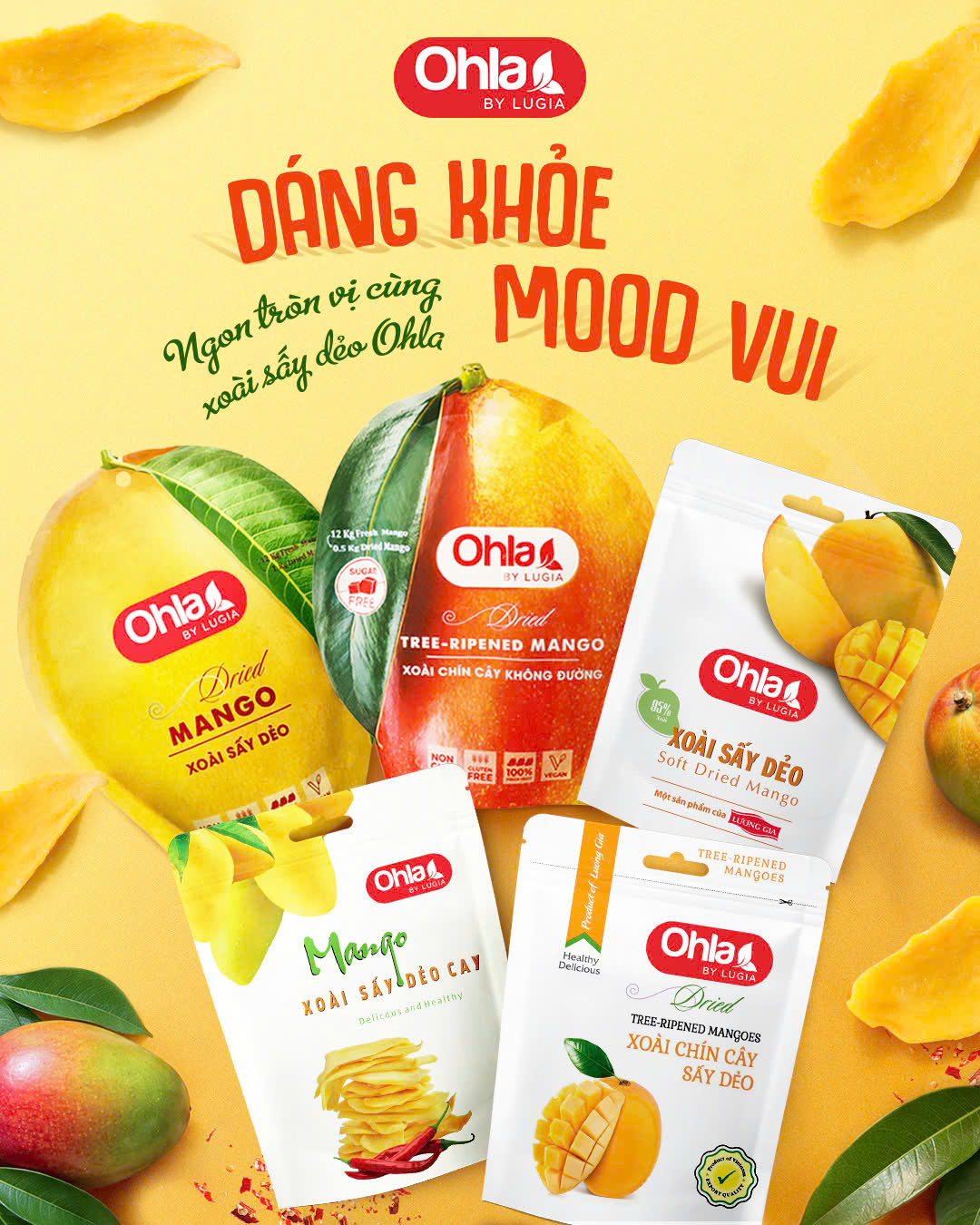 NGON TRÒN VỊ CÙNG XOÀI SẤY DẺO OHLA